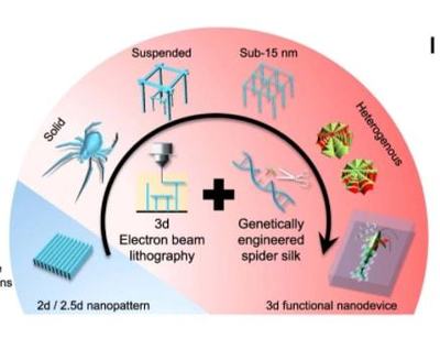 最新突破 中国科学家以蜘蛛丝为材料，研发出革命性纳米机器人
